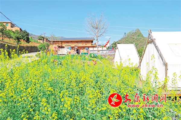 美丽庭院新风来——岚皋县推进和美庭院建设和人居环境整治侧记 - 安康新闻网